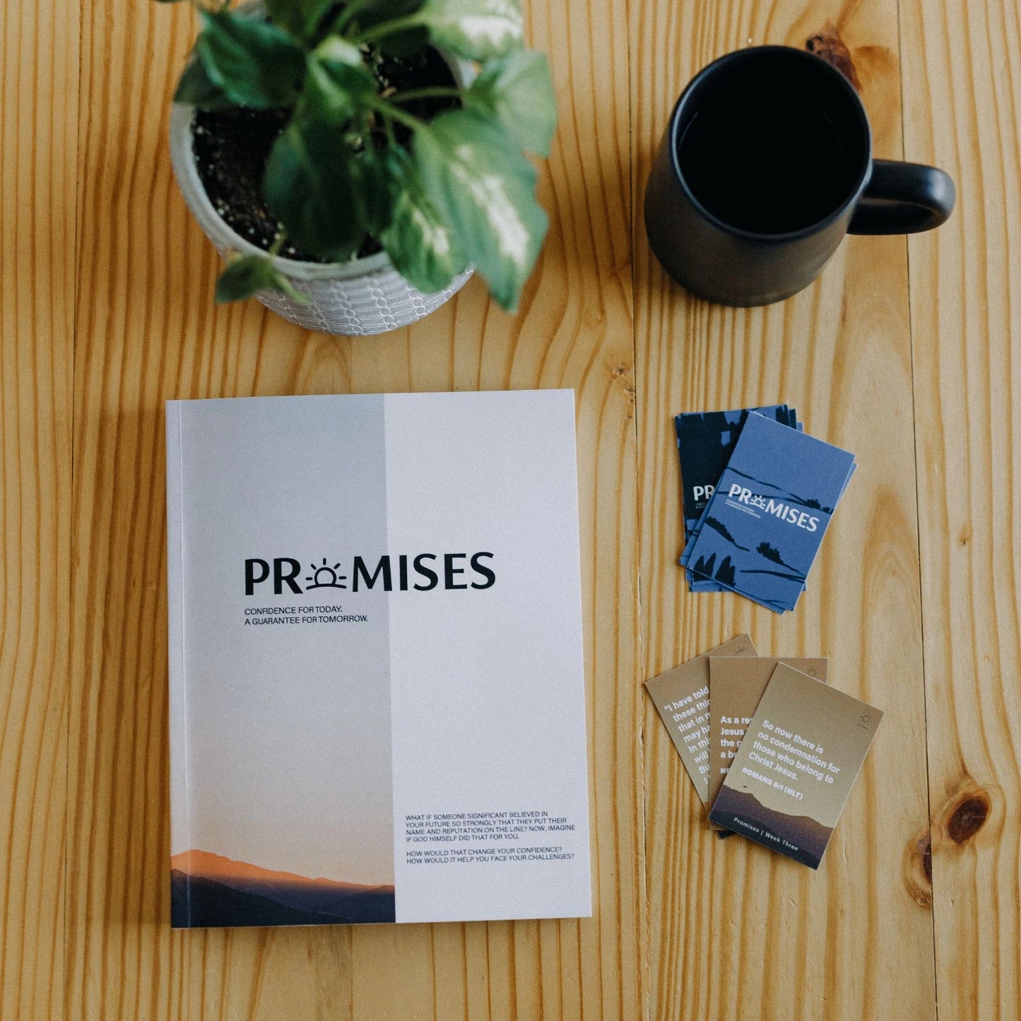 Promises Study Guide