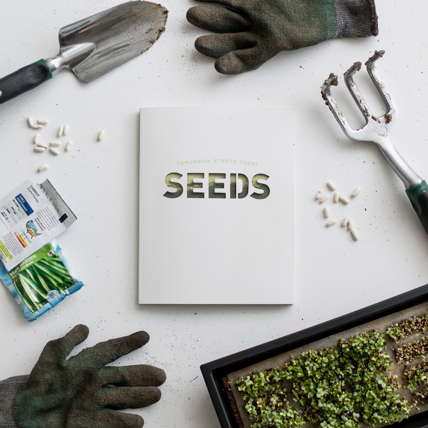 Seeds Campaign