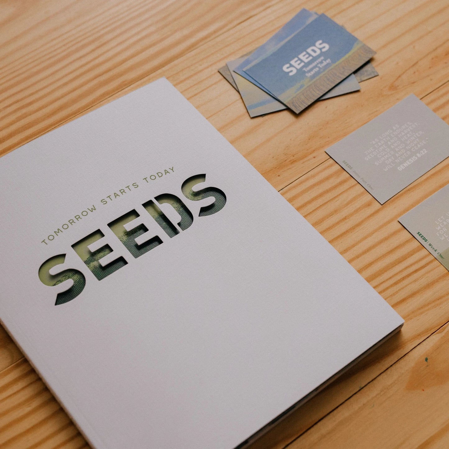 Seeds Study Guide