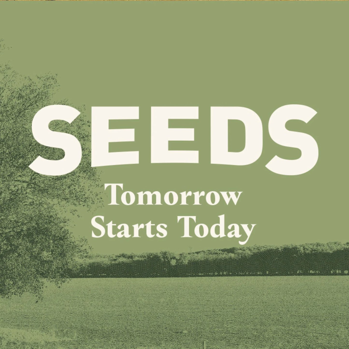 Seeds Campaign