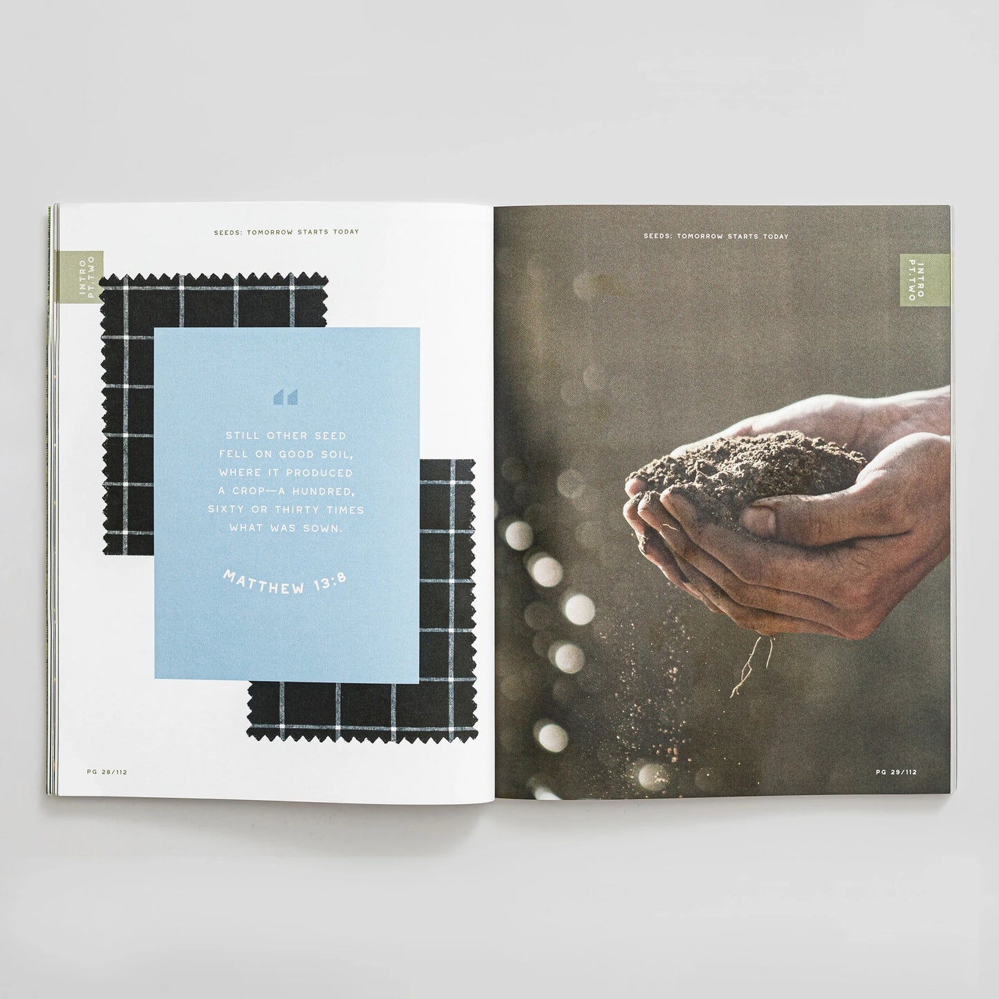 Seeds Study Guide